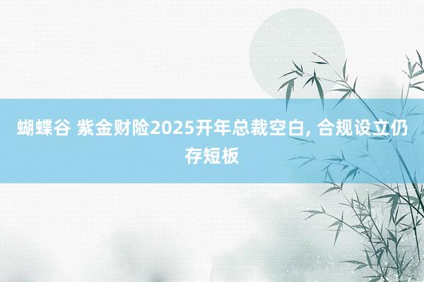 蝴蝶谷 紫金财险2025开年总裁空白， 合规设立仍存短板