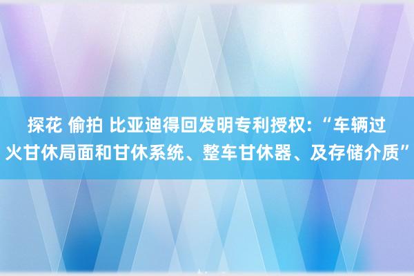 探花 偷拍 比亚迪得回发明专利授权: “车辆过火甘休局面和甘休系统、整车甘休器、及存储介质”