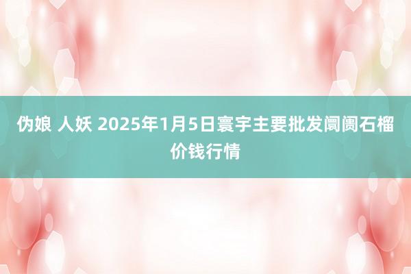 伪娘 人妖 2025年1月5日寰宇主要批发阛阓石榴价钱行情