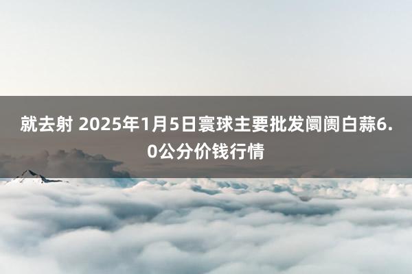 就去射 2025年1月5日寰球主要批发阛阓白蒜6.0公分价钱行情