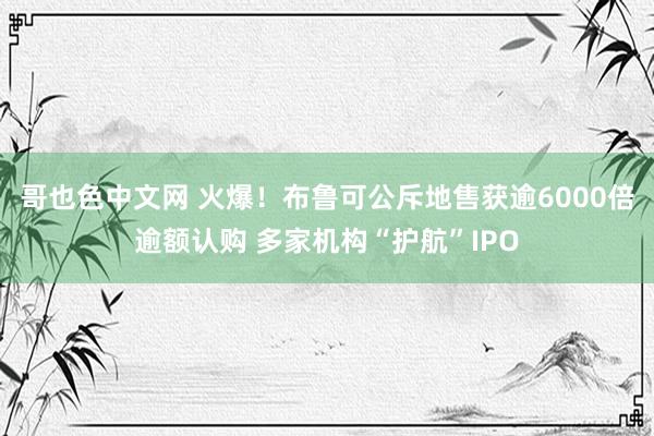 哥也色中文网 火爆！布鲁可公斥地售获逾6000倍逾额认购 多家机构“护航”IPO