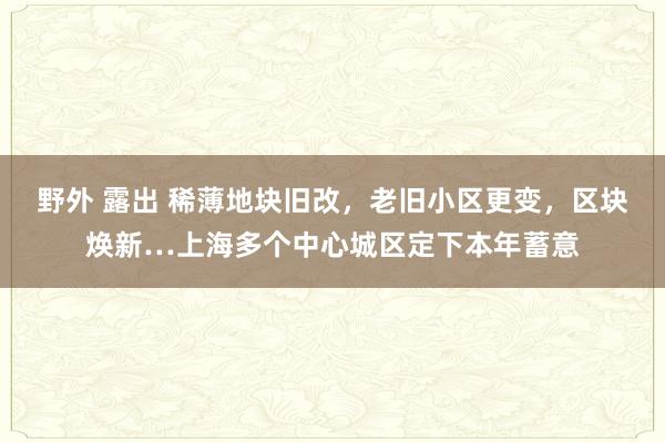 野外 露出 稀薄地块旧改，老旧小区更变，区块焕新…上海多个中心城区定下本年蓄意