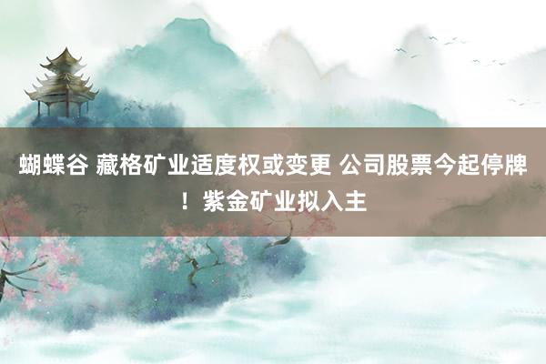 蝴蝶谷 藏格矿业适度权或变更 公司股票今起停牌！紫金矿业拟入主