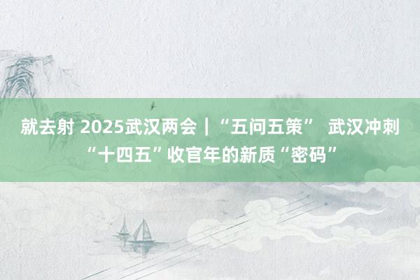 就去射 2025武汉两会｜“五问五策”  武汉冲刺“十四五”收官年的新质“密码”