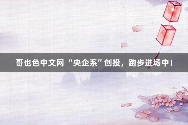 哥也色中文网 “央企系”创投，跑步进场中！