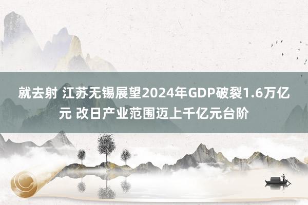 就去射 江苏无锡展望2024年GDP破裂1.6万亿元 改日产业范围迈上千亿元台阶