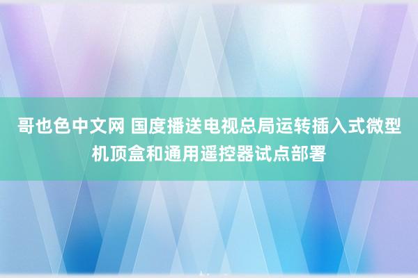 哥也色中文网 国度播送电视总局运转插入式微型机顶盒和通用遥控器试点部署