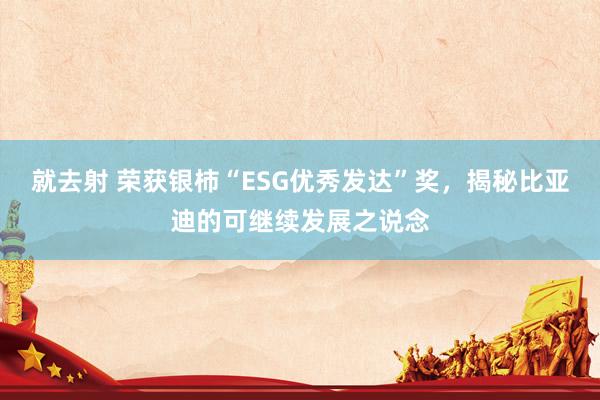 就去射 荣获银柿“ESG优秀发达”奖，揭秘比亚迪的可继续发展之说念