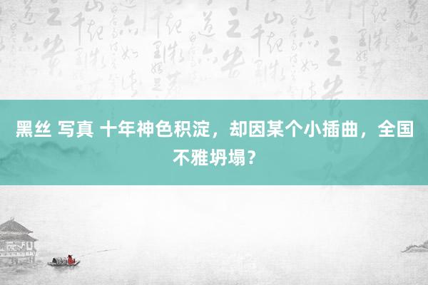 黑丝 写真 十年神色积淀，却因某个小插曲，全国不雅坍塌？