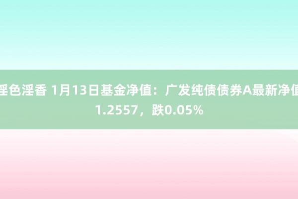 淫色淫香 1月13日基金净值：广发纯债债券A最新净值1.2557，跌0.05%