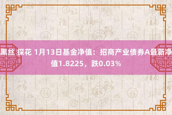 黑丝 探花 1月13日基金净值：招商产业债券A最新净值1.8225，跌0.03%