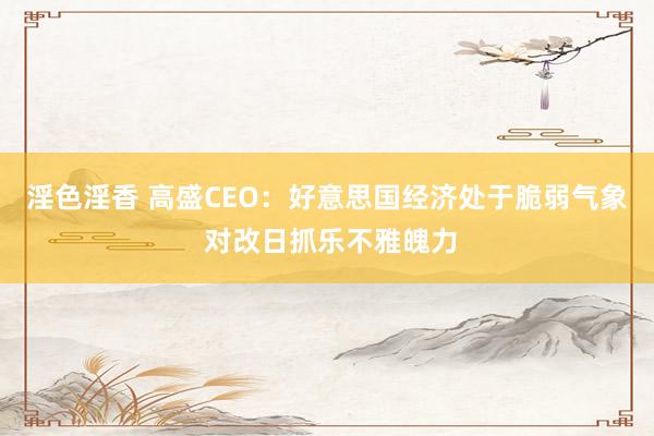 淫色淫香 高盛CEO：好意思国经济处于脆弱气象 对改日抓乐不雅魄力