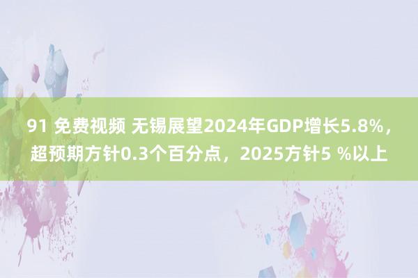 91 免费视频 无锡展望2024年GDP增长5.8%，超预期方针0.3个百分点，2025方针5 %以上