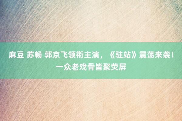 麻豆 苏畅 郭京飞领衔主演，《驻站》震荡来袭！一众老戏骨皆聚荧屏