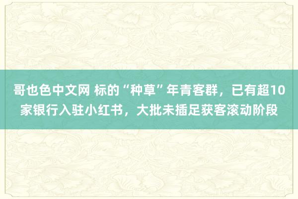 哥也色中文网 标的“种草”年青客群，已有超10家银行入驻小红书，大批未插足获客滚动阶段